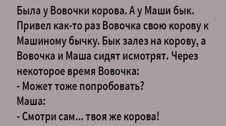 ищет корова маша своего сына текст