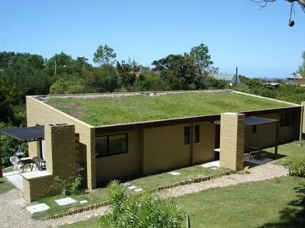 Green roofing
