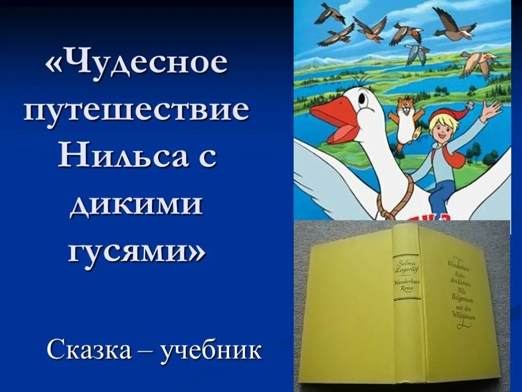 Путешествие Нильса с дикими гусями. Чудесное путешествие Нильса с дикими гусями. План путешествия нильса с дикими гусями