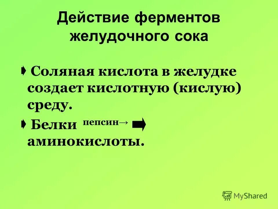 песин и соляная кислота. механизм активации пепсина в желудке.