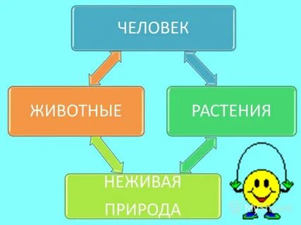В чем проявляется взаимосвязь растений неживой природы