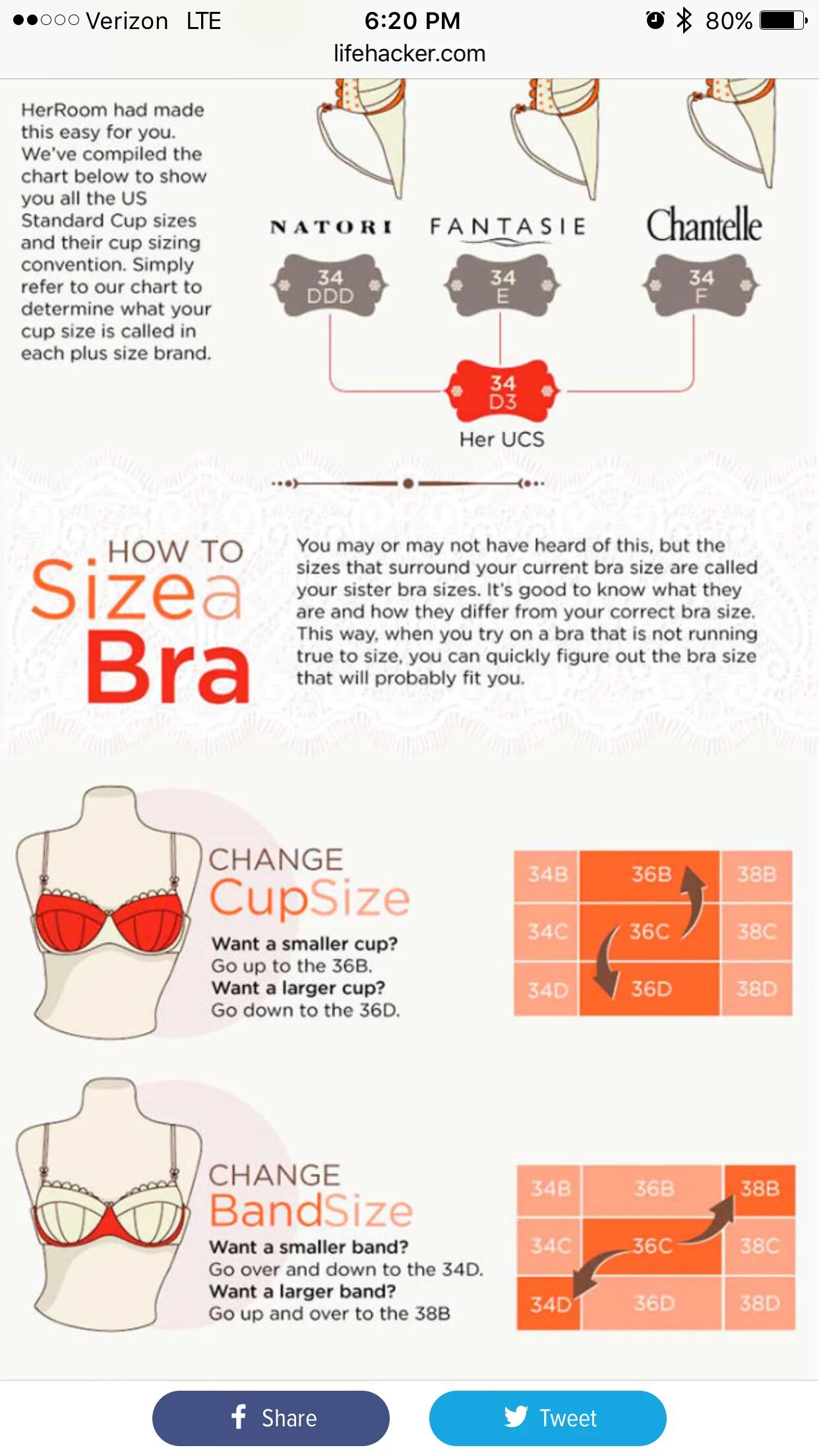 This size is small. 36b bra size. 36d cup size. what size of bra cup. размер лифчика плюс сайз таблица.