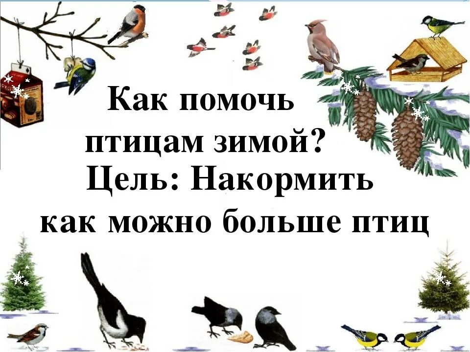 Картинки ЗИМУЮЩИЕ ПТИЦЫ 2 КЛАСС ОКРУЖАЮЩИЙ