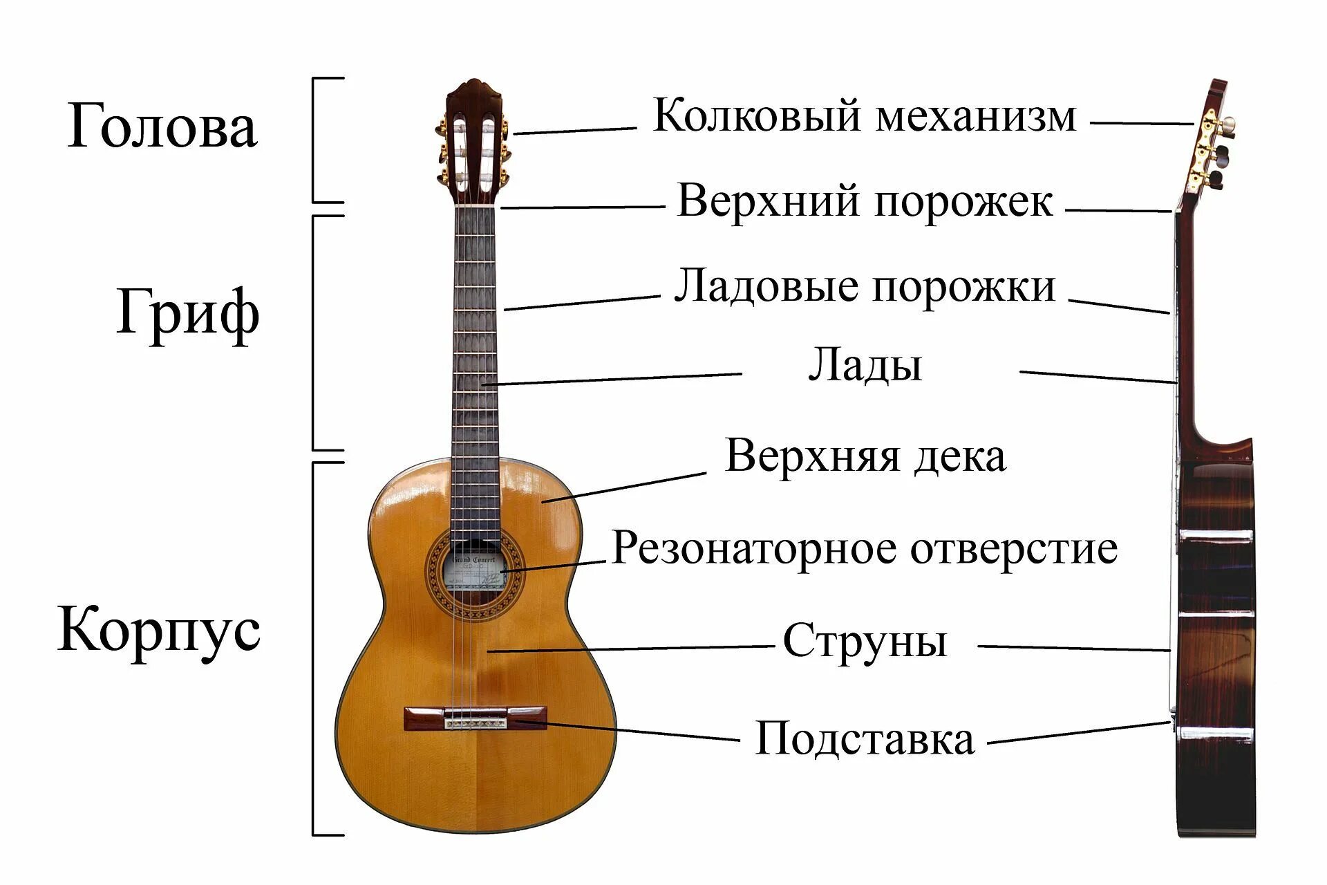 Строение акустической гитары схема. Строение гитары классической. Устройство гитары акустической 6 струнной. Конструкция гитары классической.