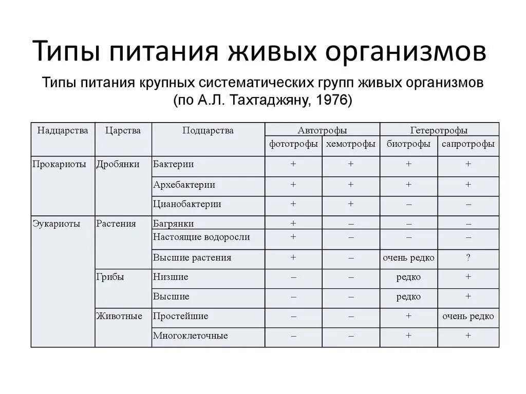 Заполните таблицу способы питания. Типы питания живых организмов таблица 6 класс биология. типы питания организмов таблица. типы питания таблица 10 класс. типы питания организмов биология 5 класс.