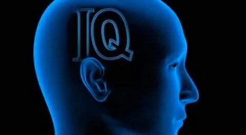 Особенности высокого интеллекта