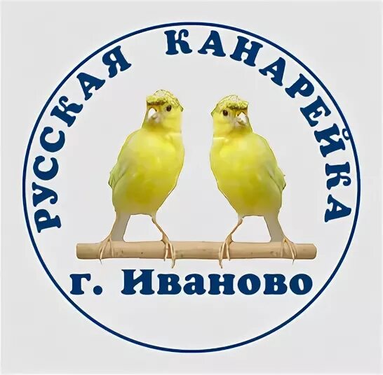 Любители канареечного пения какой город