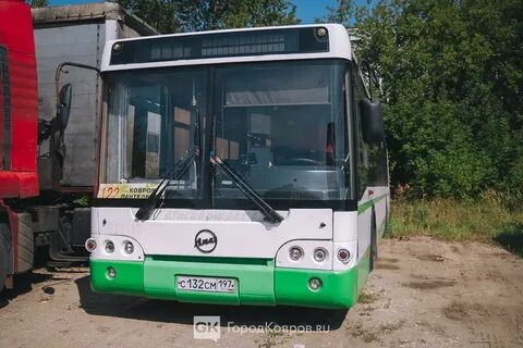 Автобус муром ковров