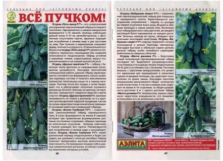 Огурцы сорта для посадки