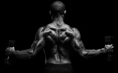 Black back