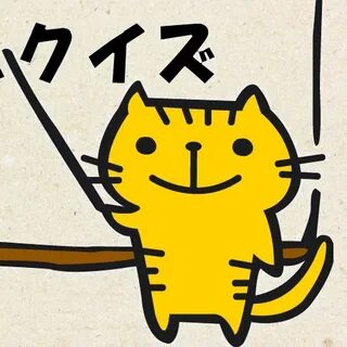 Quiz cat