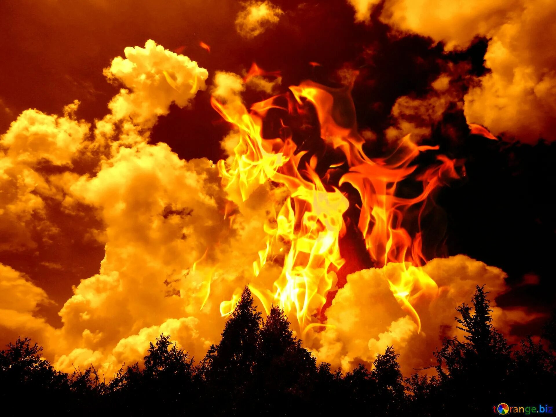 Небо в огне. Огонь в небе отзывы. Небо в огне. Небо в огне. Огненные облака.