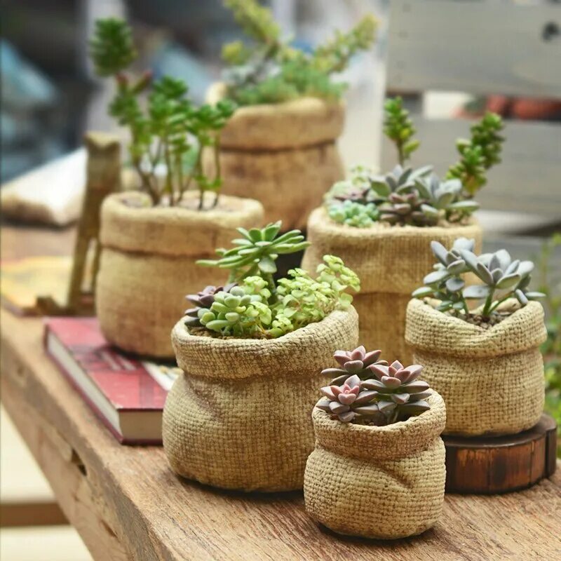 Как оформить горшок для цветов. Cactus pot горшки кактусы суккуленты. горшочек для суккулентов керамика. необычные цветочные горшки. необычные горшки для цветов.
