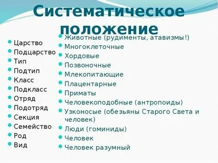 Семейство класс вид тип отряд таблица