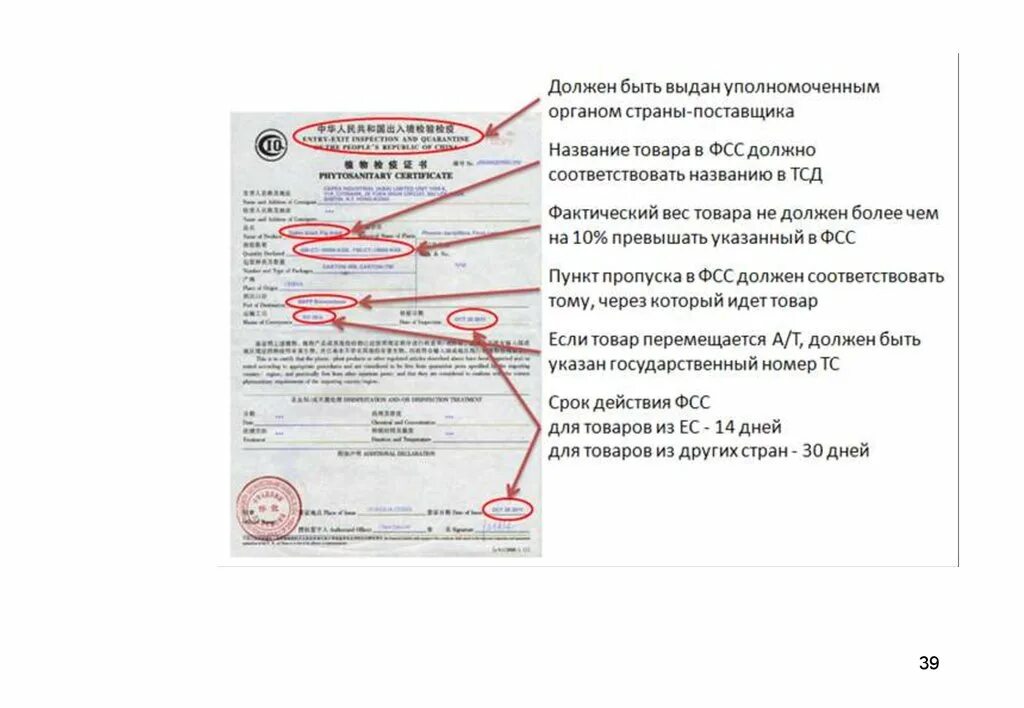 Таможенный лимит 2025 после 1 апреля