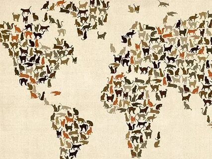 Cat map