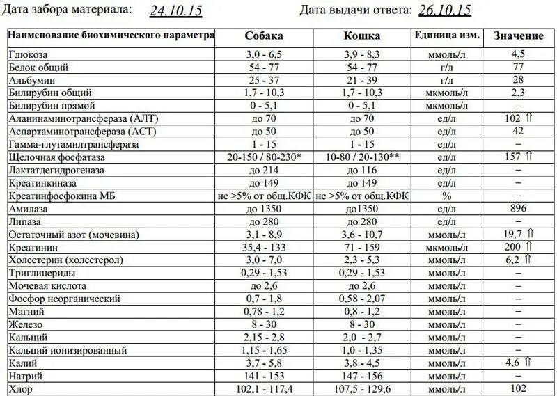 Ревматоидные показатели в биохимии крови. Биохимический анализ крови норма ревматоидный фактор. Биохимический анализ крови при ревматоидном артрите показатели. Ревматоидный артрит анализ крови биохимия расшифровка.