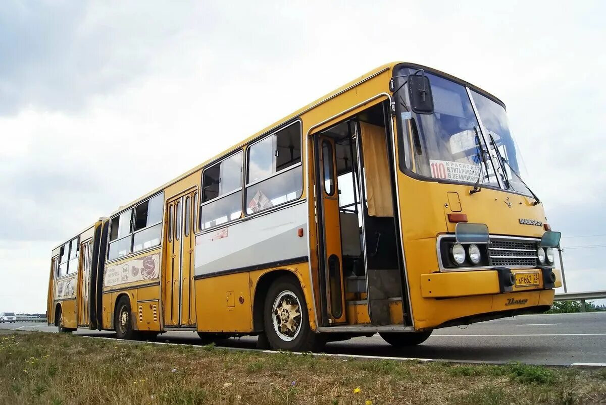 Автобус Ikarus 280. Икарус автобус гармошка 280. Икарус 280 желтый. Икарус 280 гармошка.