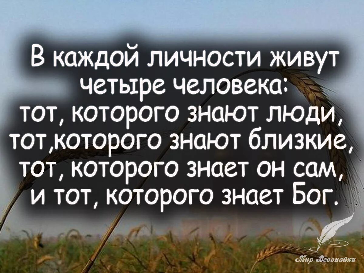 Высказывания мудрых на тему человек личность. Цитаты про личность. Высказывания о личности. Высказывания человек личность. Фразы про личность.