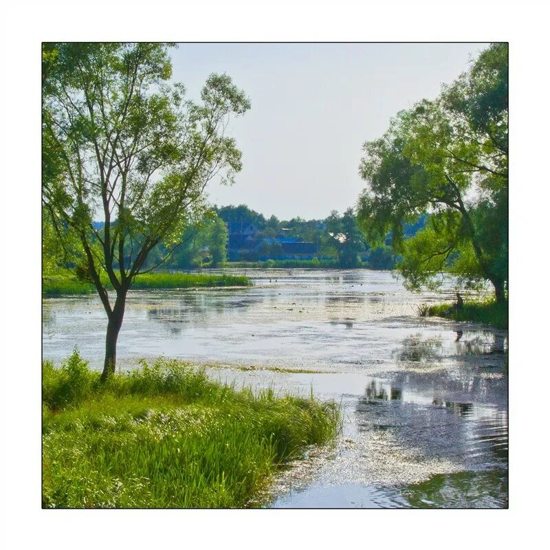 Отвод тепла из солнечного пруда. Солнечный пруд принцип работы. Солнечный соляной пруд. Озеро в солнечном томск. Солнечные пруды каменка.