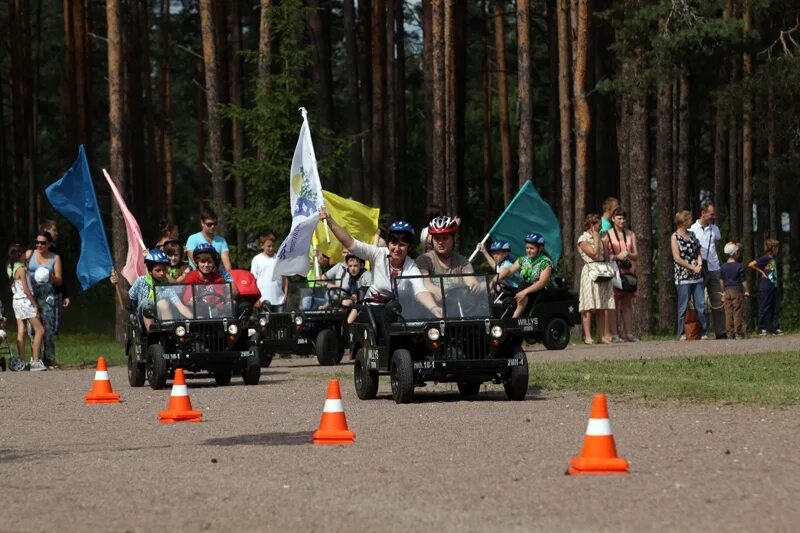 Сайт дол звездный. Дол Звёздный Луга. Лагерь Звёздный Луга. Лагерь в Луге Звёздный. Детский лагерь Звездный Ангарск.