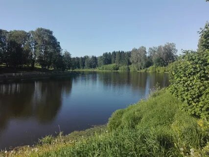 Нижние горки