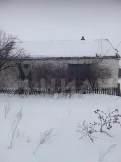 Погода курнаевка волгоградской
