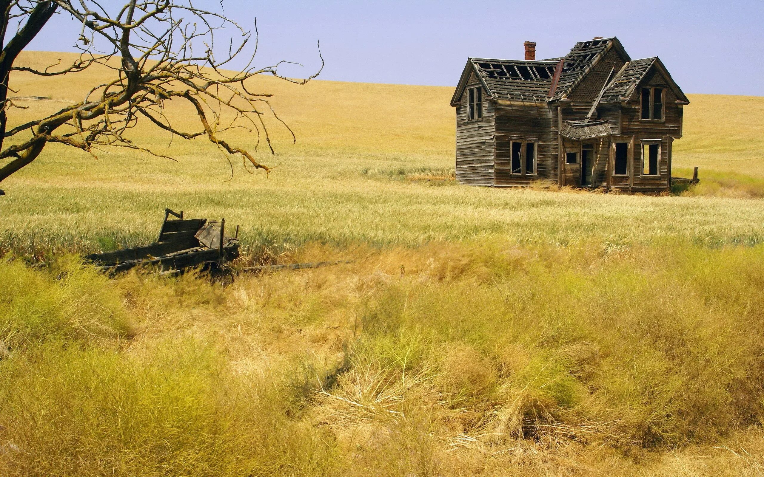 Old field