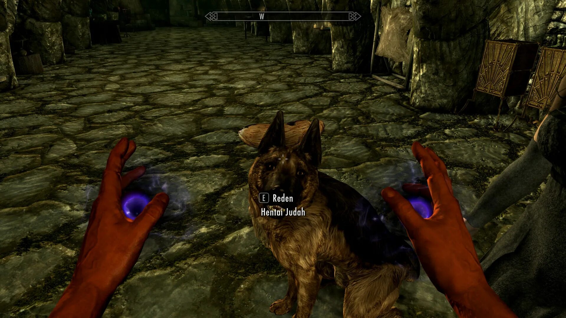 More nasty critters. Morenastycritters для skyrim. more nasty critters slal edition. скайрим мод more nasty critters.