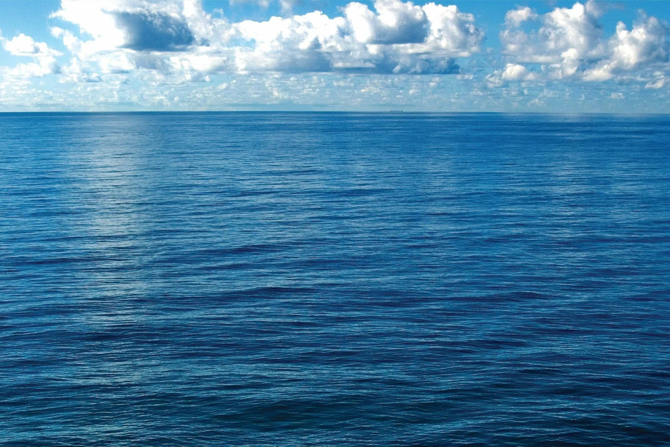 Картинки океанов. Водная гладь. Фон море. Тихий океан вода. Поверхность моря.