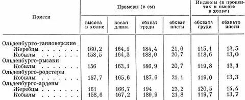 Таблица роста лошадей