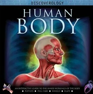 Human interactive