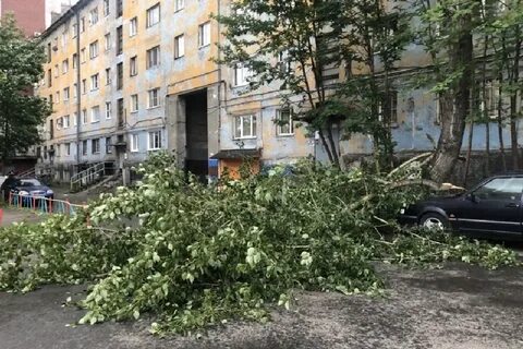 Мурманск 40