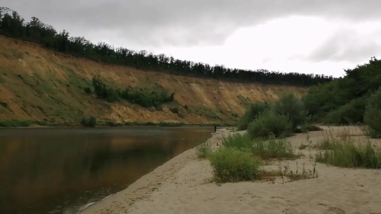Кривоборье пляж. Подкова реки дон кривоборье. Урочище кривоборье воронеж. Река дон кривоборье. Река дон кривоборье.