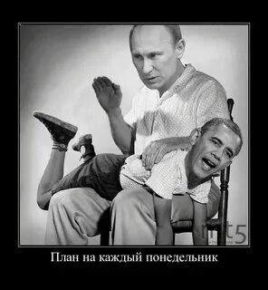 Радую тебя сегодня радую текст