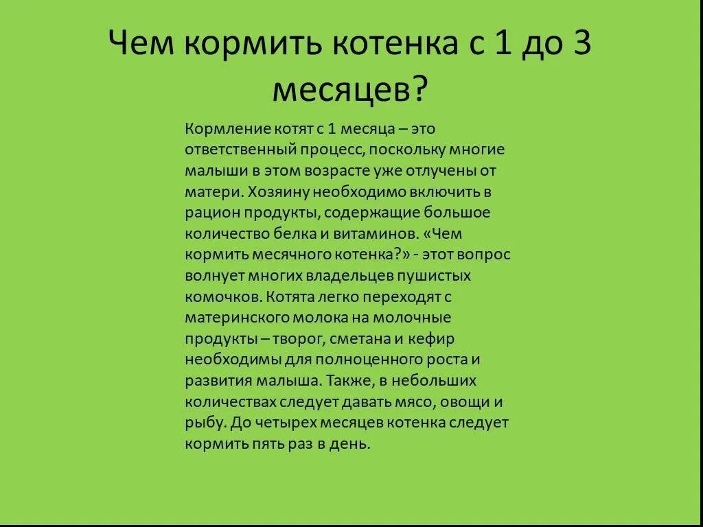 Чем можно кормить месячного котенка