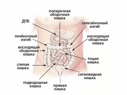 Сильно болит кишечник