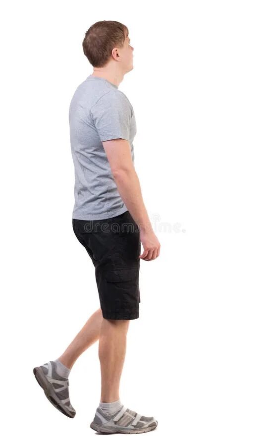 Went short walks. Short and stocky legs. Went short walks. Went short walks. Went short walks.