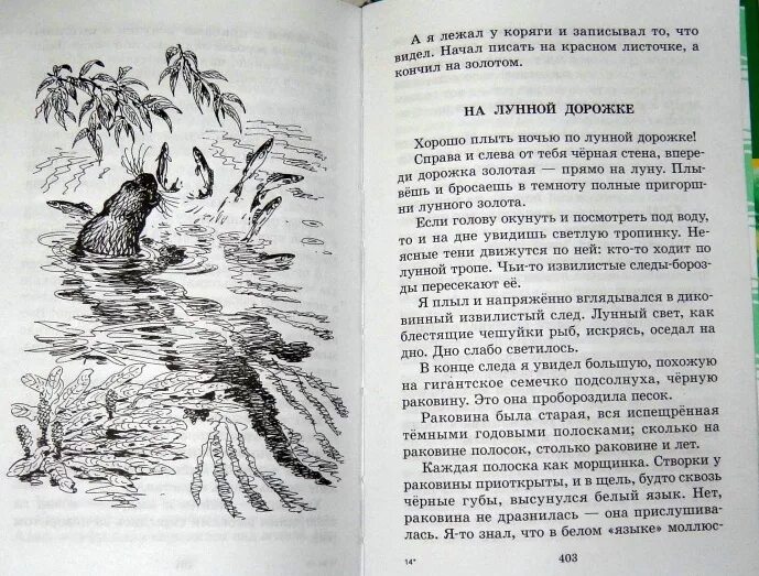 Рассказ про сладкова. Лесные тайнички Бианки. Н. Сладков "Лесные тайнички". Лесные тайнички Сладков рисунок. Сладков Лесные тайнички книга.