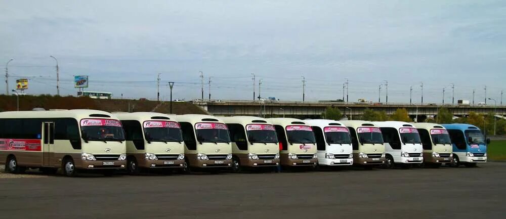 Автобусы в крым из москвы. Визитка автобус. Пассажирские перевозки визитка. Компании автобусов. Транспортная компания маршрутки.