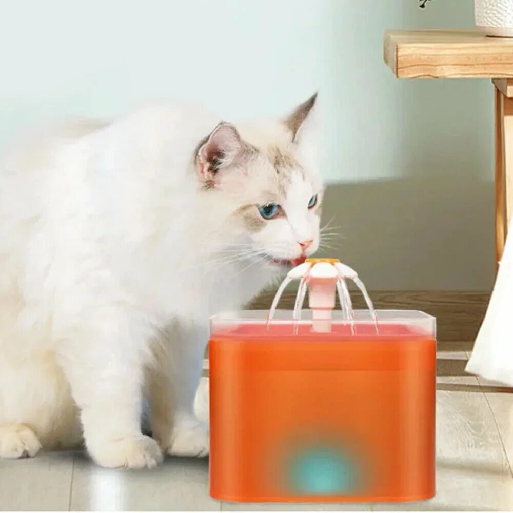 Поилка для котов. Поилка фонтан для кошек. Поильник для кошек. Питьевой фонтанчик для кошек. Поилка фонтан для кошек купить