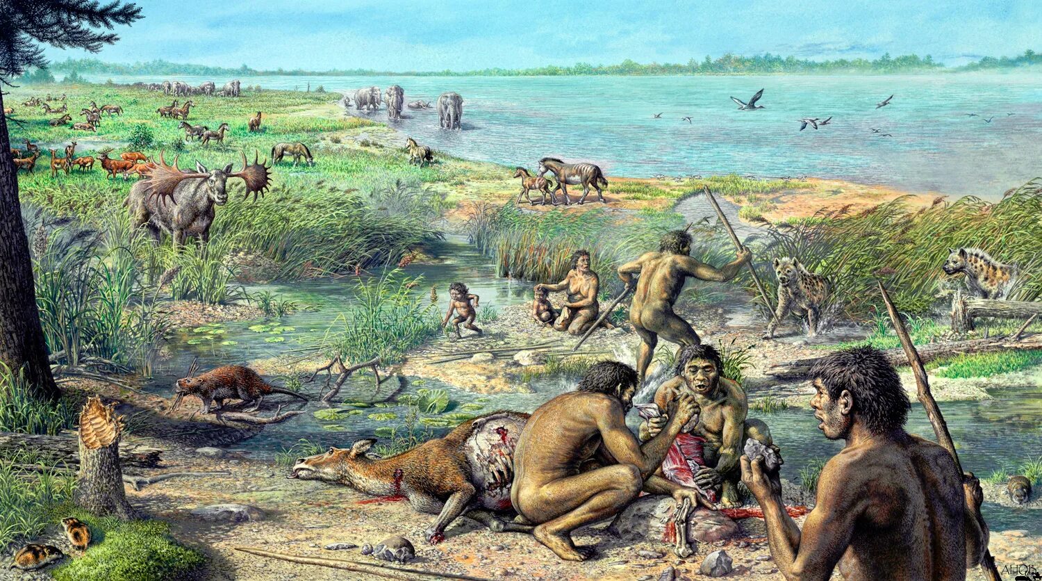 Человек прямоходящий homo erectus. Рост первобытного человека. Человек умелый. Неоген австралопитеки. Древние люди.