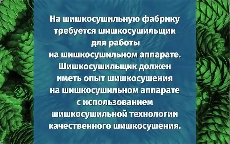 Шишкосушильная фабрика скороговорка