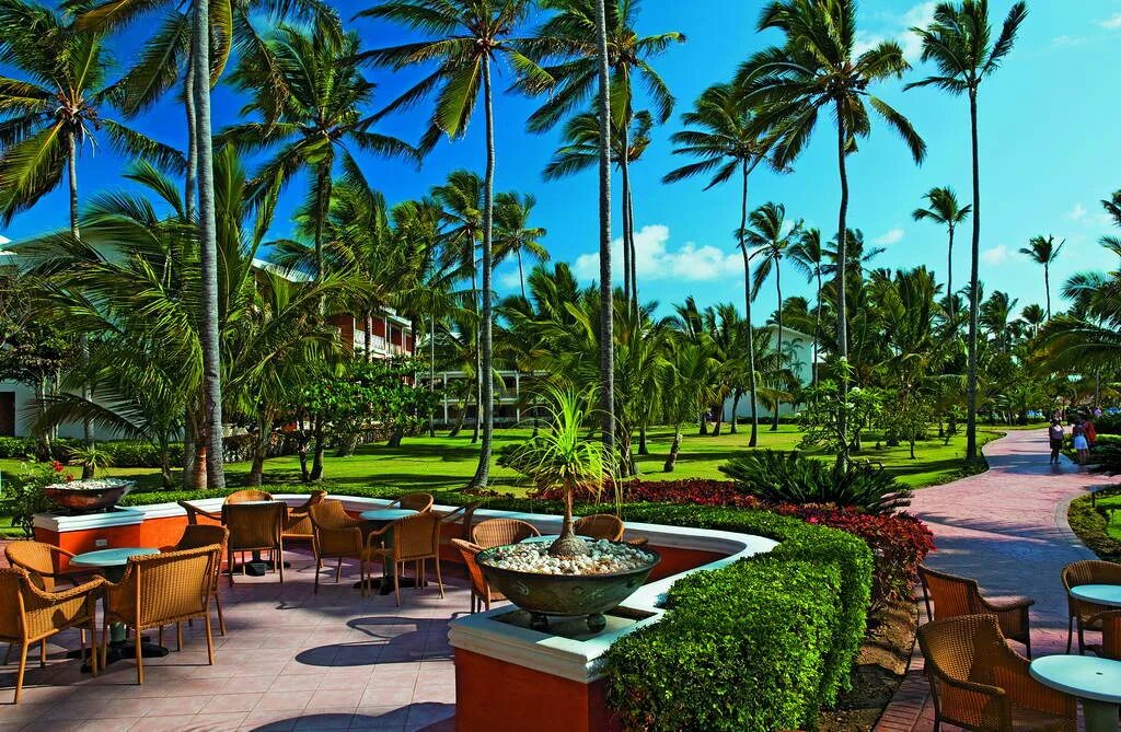 Оксидентал карибе доминикана. Vik arena blanca 4 пунта кана. Вик арена бланка доминикана пунта кана. Вик арена бланка фото. Пунта кана отели.