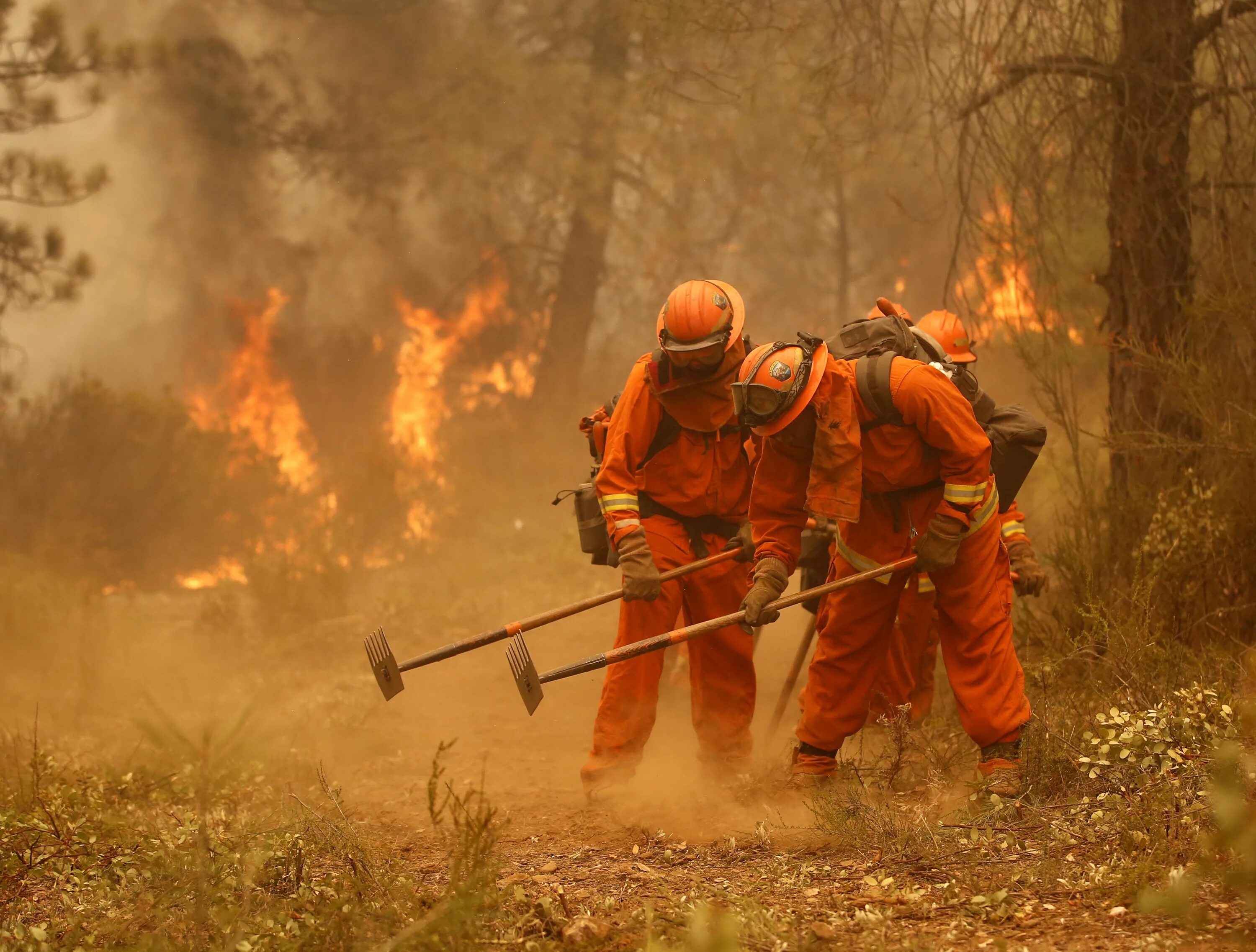 Пожарники тушат Лесной пожар. Лесные пожарные. Пожарники в лесу. Тушение пожара леса.
