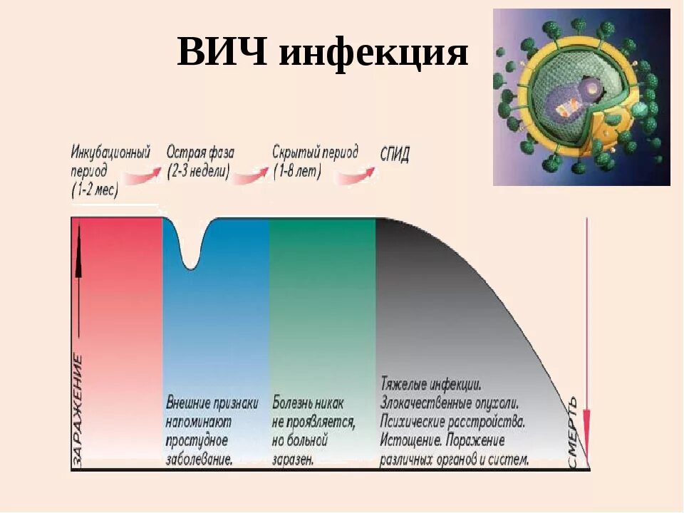 Острая стадия ВИЧ. Острая фаза ВИЧ. Острая фаза ВИЧ симптомы. Стадия инкубации ВИЧ инфекции.