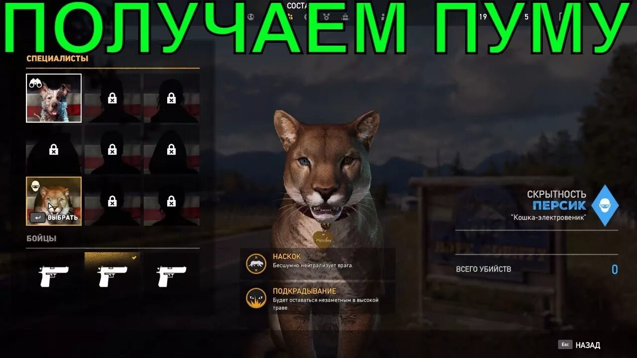 Как получить кис. Фар край 5 Пума персик. Пума far Cry 5. Мастерская таксидермиста far Cry 5. Персик фар край 5.