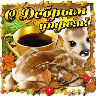 Милые пожелания с добрым утром с животными