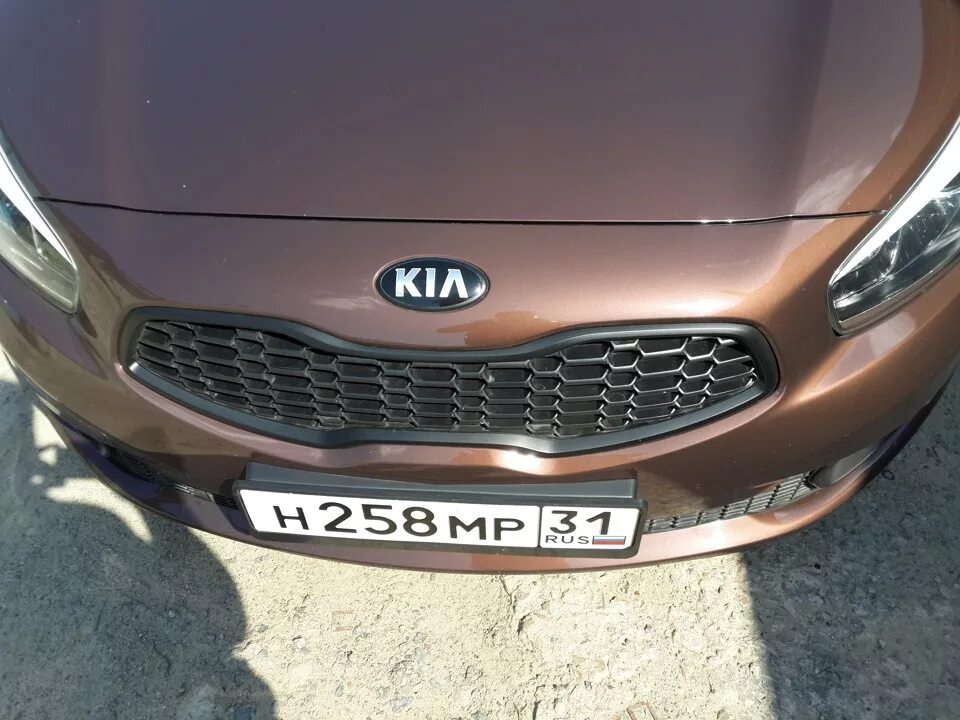 Киа сид решетка. Решетка Kia Ceed JD. Kia Ceed черная решетка. Kia Ceed 2 черная решетка. Kia Ceed 2 решетка бампера черная.