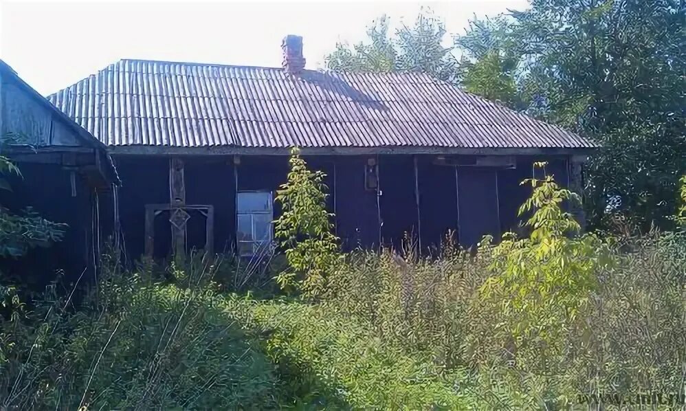 Село семено александровка бобровского района воронежской. Поселок заводское семено-александровский район. Семено-александровка бобровского района. Семено-александровка бобровского района. Семёно-александровка воронежской области.
